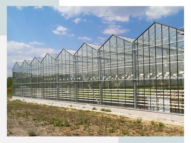 Строительство теплиц в Чапаевск от 613 руб. за м²