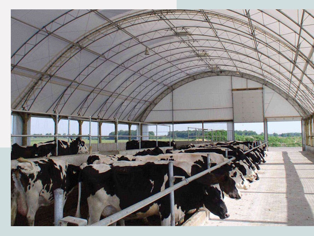 Тентовые коровники в Чапаевске